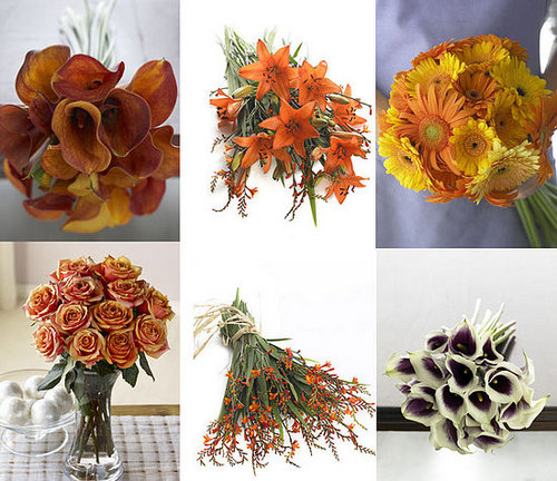 Organic Bouquet Giveaway...We Have a Winner!