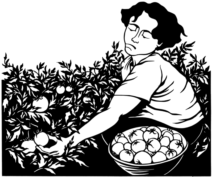 amberapple_lg amberapple_lg