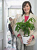 Do You Have Houseplants?
