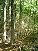 Midday Muse:  Tree Weaving