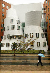 This Just In: MIT Sues Frank Gehry