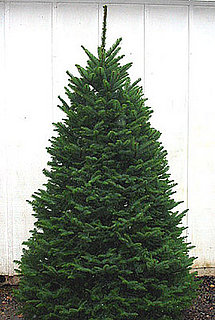 Name This Christmas Tree