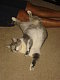 Mozzy's picture