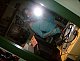 kitcatz22