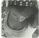 chailce06