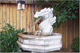 our dragon fountain