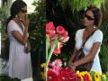 What's Halle Hiding?