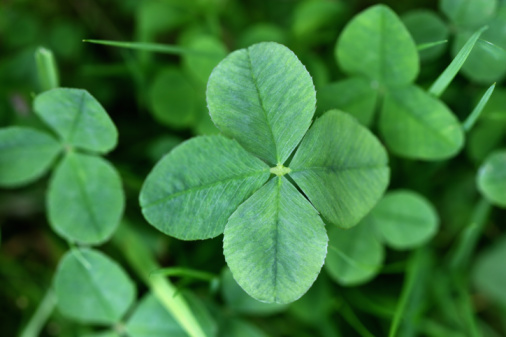 Do Tell: For Luck, at the Oscars