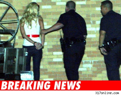 Paris Charged with DUI