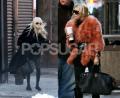 Let's Play Name! That! Olsen!