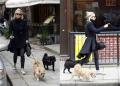 Sienna Walks Her Dogs While Plotting Her Next Hollywood Takeover