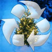 Don't Trash Your Tree