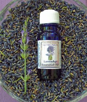 Essential Oils Enlarge Boys' Breasts?