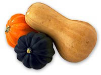 The Wonders of Winter Squash