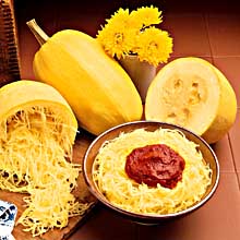 An American Native: Spaghetti Squash