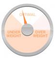 FIT Calculator: BMI
