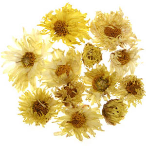 Chrysanthemum Tea