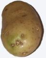What's the Deal with Green Potatoes