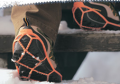 Yaktrax - No Slipping Here