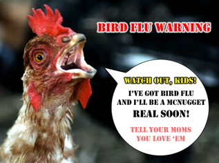What Ever Happened to the Bird Flu?