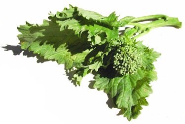 Broccoli Rabe Demystified