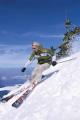 Skiing Defined