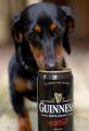 Beer Breakdown
