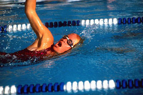 Swimming in the Winter?