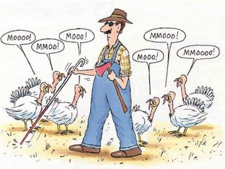 Happy Thanksgiving and Good Night