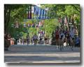 Vermont City Marathon