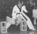 Martial Arts Explained