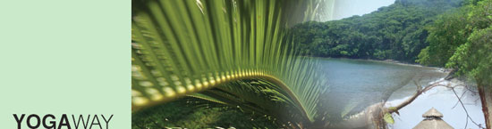 YogAway: Yoga Retreat in Mexico