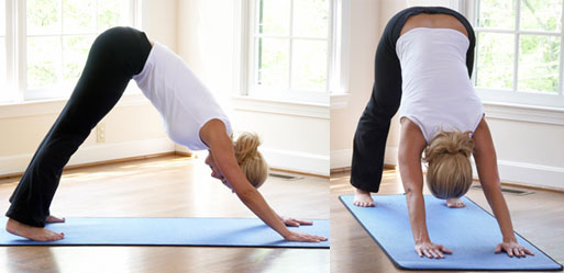 Get Your Butt in Gear: YoginiStyle YogaSmart Pants