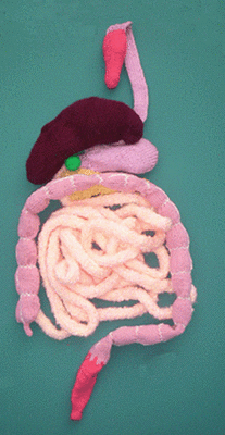 More Knitters Gone Wild--Knitted Digestive System!