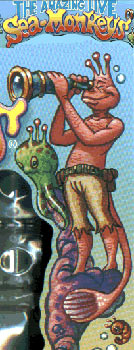 SeaMonkeyCamelToe SeaMonkeyCamelToe