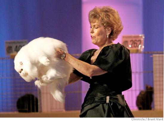Holy Fur Balls, Batman!