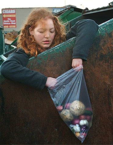 Funny or Scary? Dumpster Dining