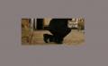 Name That Movie!