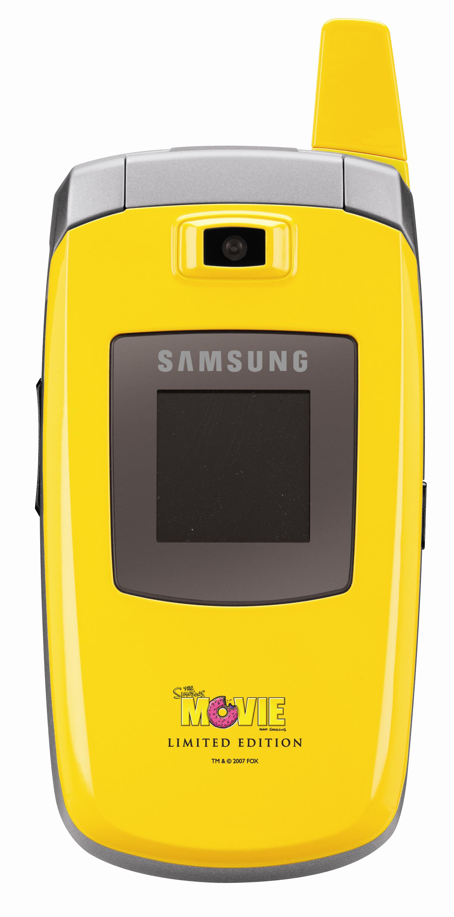 simpsons_c417_closedfront simpsons_c417_closedfront