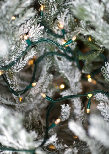 Come Party With Me: WInter Wonderland Weekend Getaway - Decorations