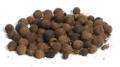 Allspice