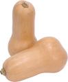 Secret Ingredient: Butternut Squash