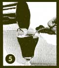 bv5 bv5