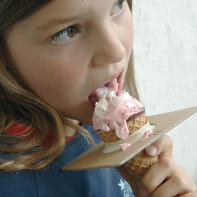 Vacuum Bag Ice Cream Holder