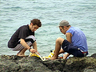 topchef13_seaurchin topchef13_seaurchin
