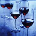 Come Party With Me: Wine Club's 1st Meeting - Tips