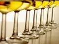 Come Party With Me: Wine Club's 1st Meeting- Tasting Notes Worksheet