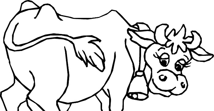 Dairy cows coloring pages