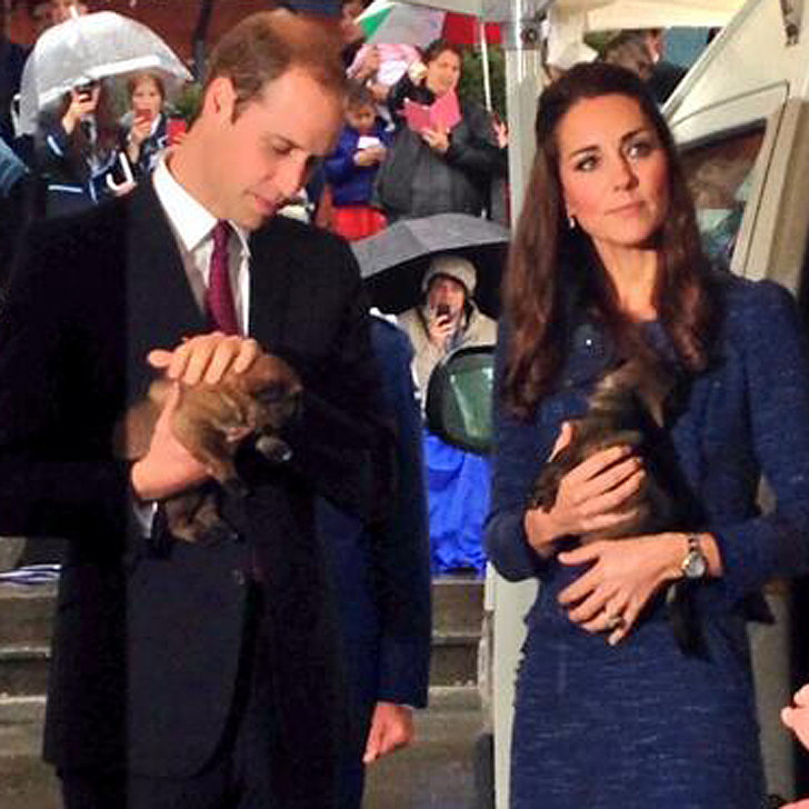 Kate Middleton and Prince William Visit New Zealand | POPSUGAR Celebrity